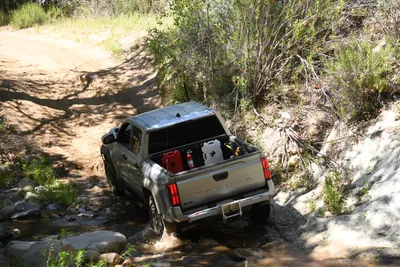 DSC_5917 (Large).JPG